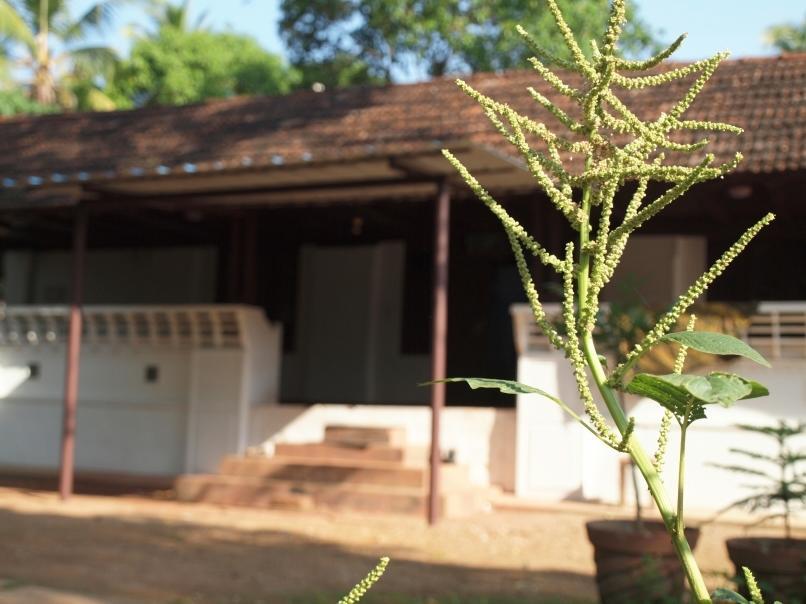 Chedi Spring Valley Athirappilly Exterior foto